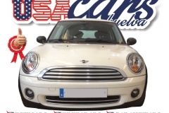 mini 2009-1