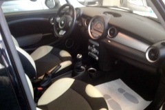 mini 2009-2